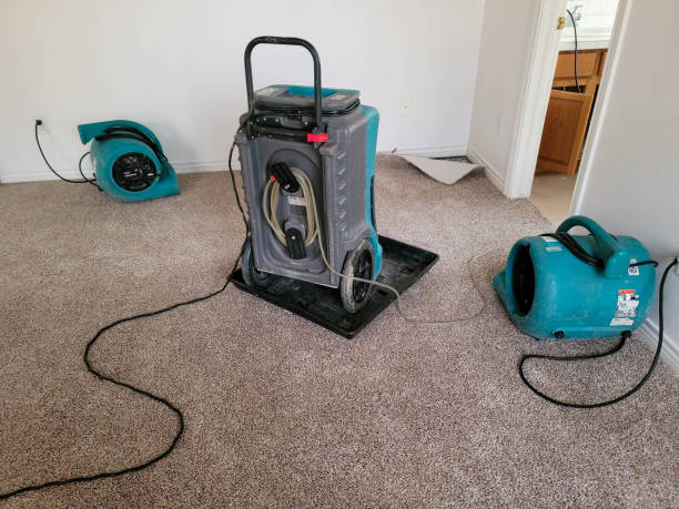 Best 24-hour water damage restoration  in Clearlake, CA
