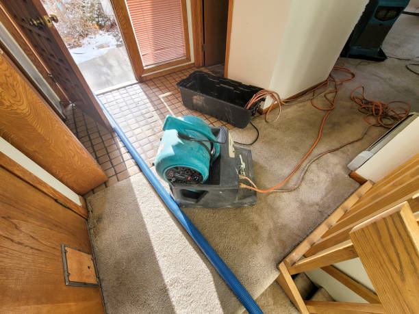 Trusted Clearlake, CA Water damage restoration Experts