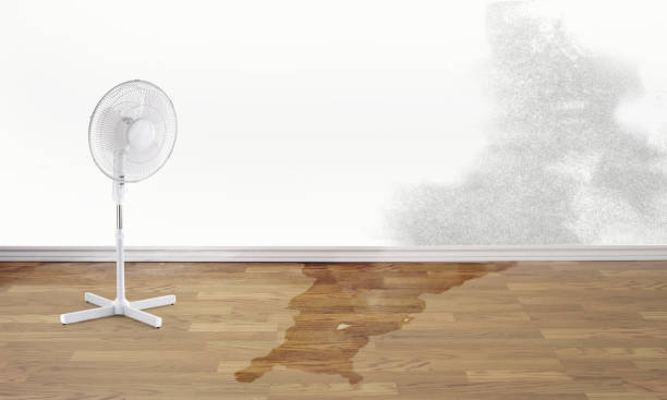 Trusted Clearlake, CA Water damage restoration Experts