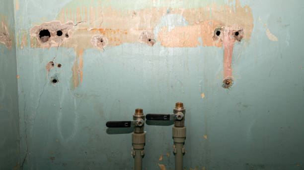 Best Water damage contractors near me  in Clearlake, CA