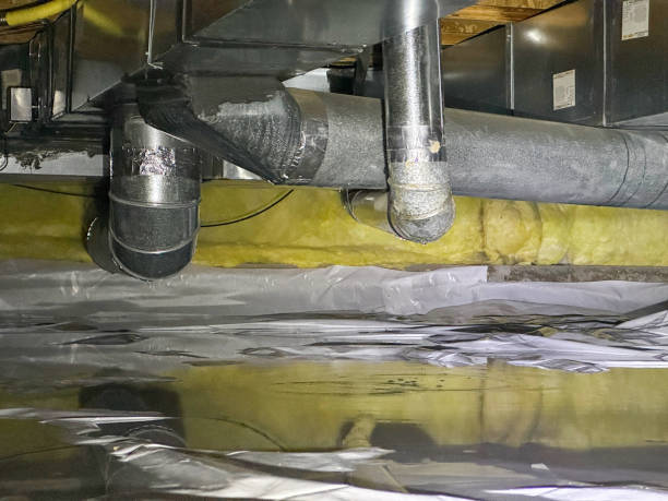 Best Basement water damage restoration  in Clearlake, CA