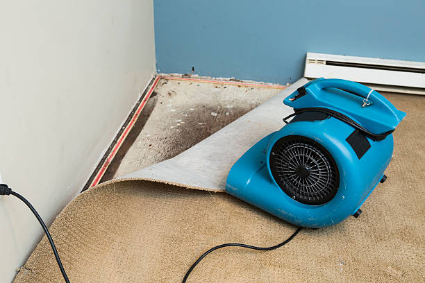 Water damage restoration mold remediation in Clearlake, CA